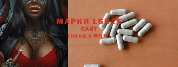 эйфоретик Новозыбков