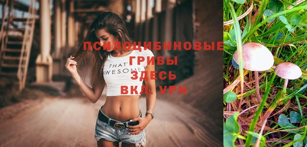 а пвп мука Новодвинск