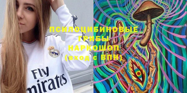 эйфоретик Новозыбков