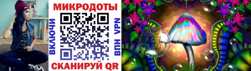 хочу наркоту  Черняховск  блэк спрут зеркало  Псилоцибиновые грибы MAGIC MUSHROOMS 