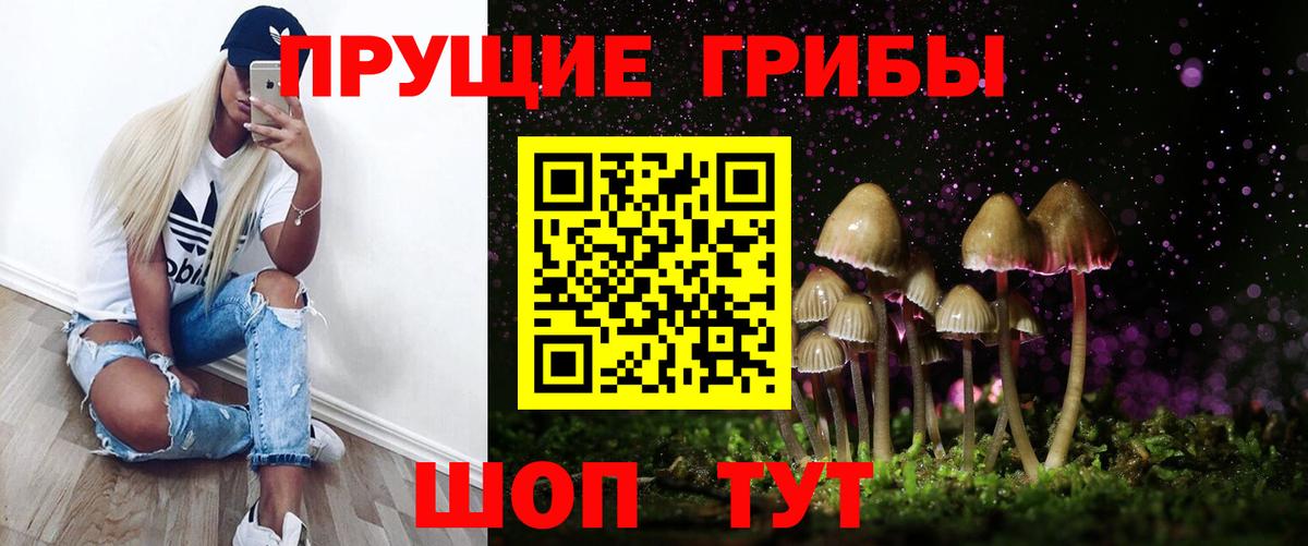 Псилоцибиновые грибы мицелий Черняховск